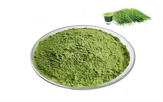 raw organic wheatgrass powder raw organic wheatgrass powder