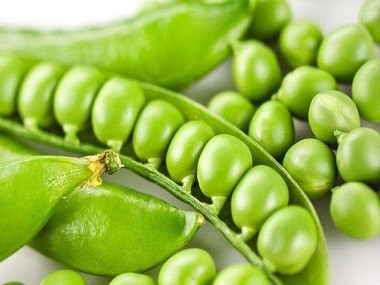 organic pea protein powder organic pea protein powder