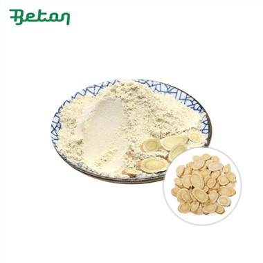 Polvere di radice di astragalo biologica