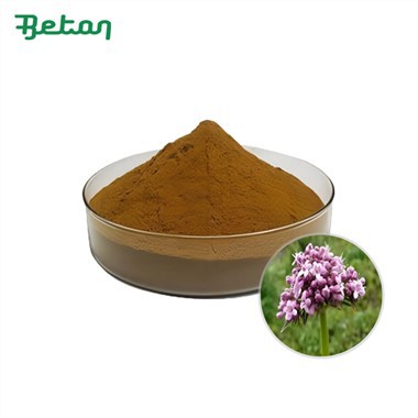 Polvere di radice di valeriana biologica