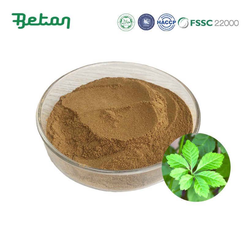 Polvere di estratto di Gynostemma pentaphyllum