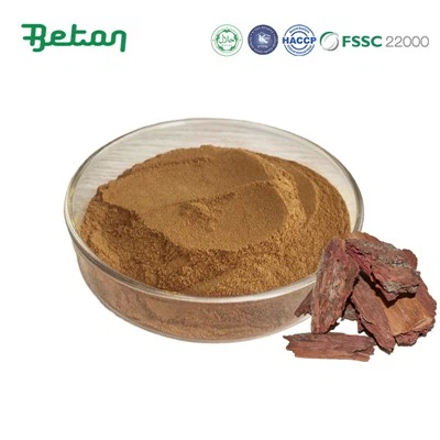 Polvere di estratto di corteccia di pino